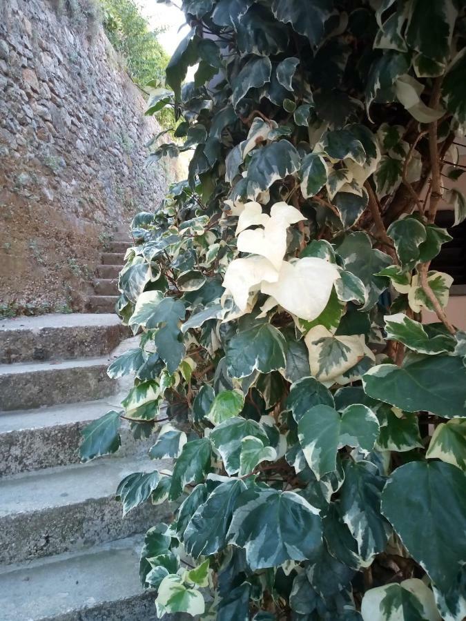 Rooms Jancic Ulcinj Exterior foto